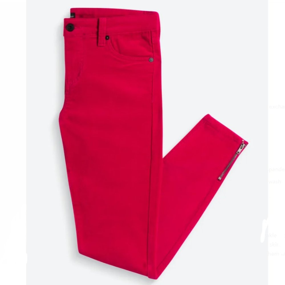 🌞 EDYSON Leon Corduroy Ankle Zip Skinny Jean Size 29 Stitch Fix